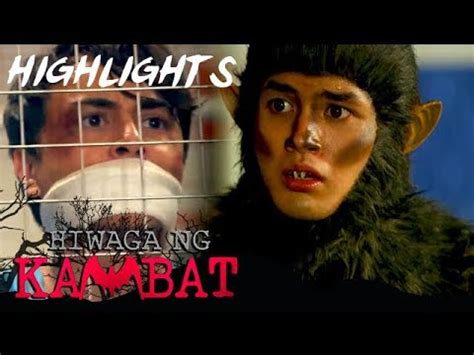 Mateo transforms into Paniki Boy .